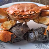 水なしタイプ 松島のモクズガニ 大サイズ1ｋg～ ツガニ もくずがに 