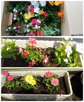 みんなの投稿の画像