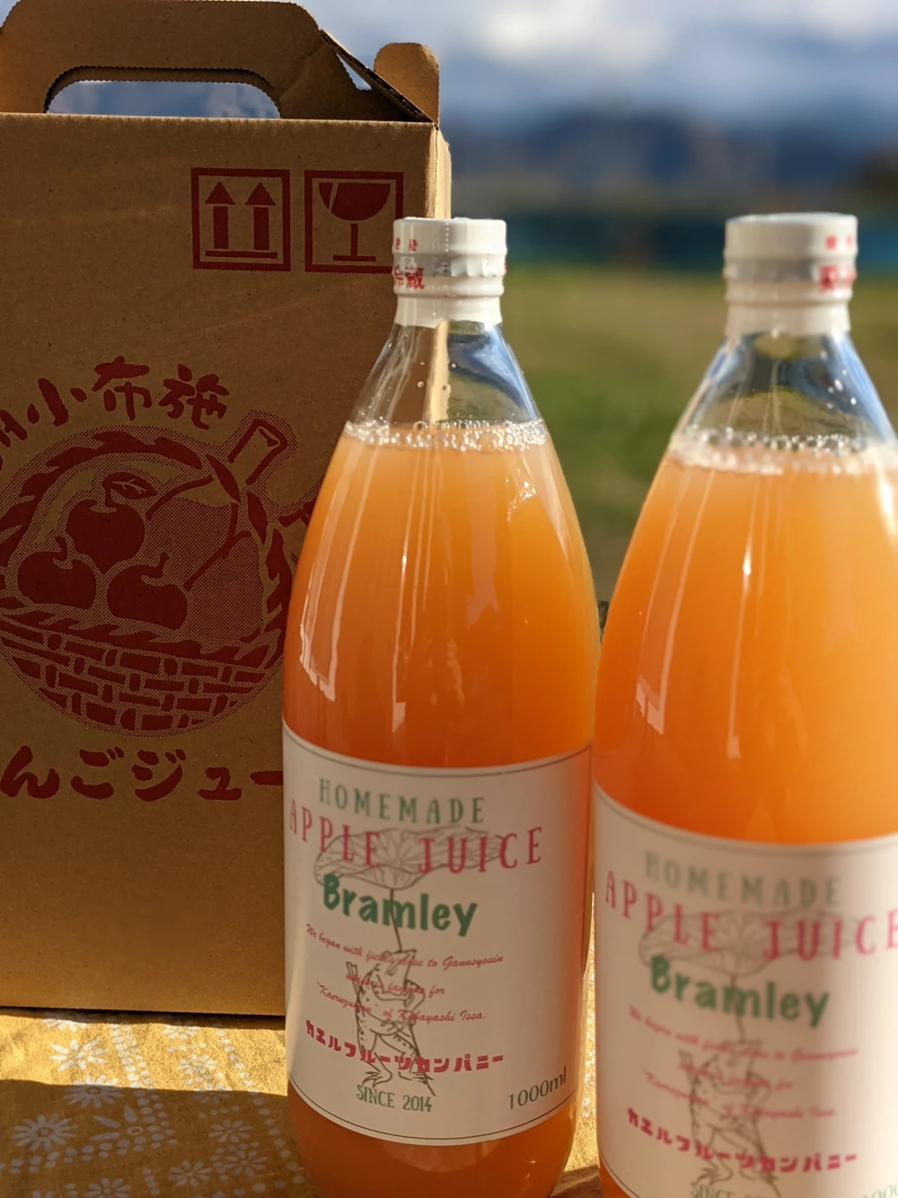 酸っぱい青りんごジュース。【ブラムリー】アップルジュース