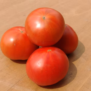 【贅1】限定　贅沢トマト1㎏　