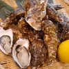 サロマ湖産殻付き牡蠣