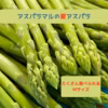 ＜長野県産＞夏アスパラガス☆たくさん食べられるMサイズ!!　
