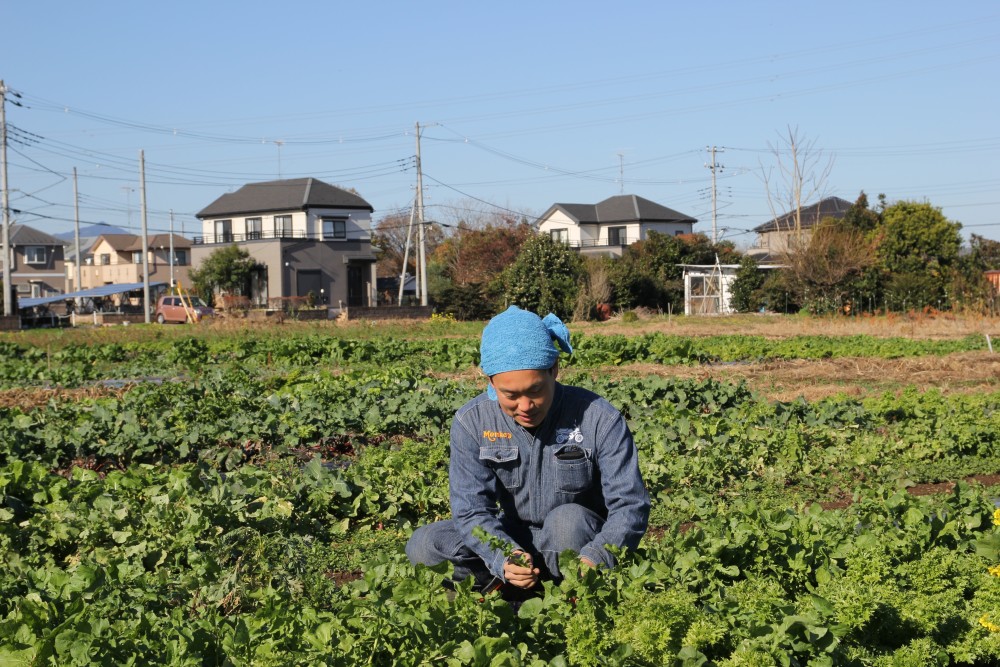 無肥料（むひりょう）・無農薬栽培」ってなに？全国でも稀な農法に挑む ...