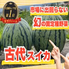 【一般市場に流通しない古代スイカ】見つけたら幸運の持ち主☆農薬・化学肥料不使用
