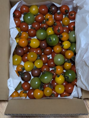 みんなの投稿の画像