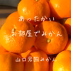 家庭用　Mサイズ箱込み5㎏弱　瀬戸内の恵み　山口岩国みかん　
