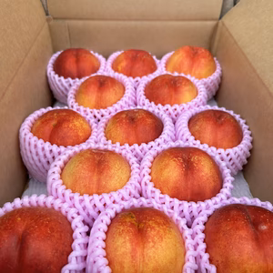 ‼️樹上完熟ネクタリン「バビオール」‼️