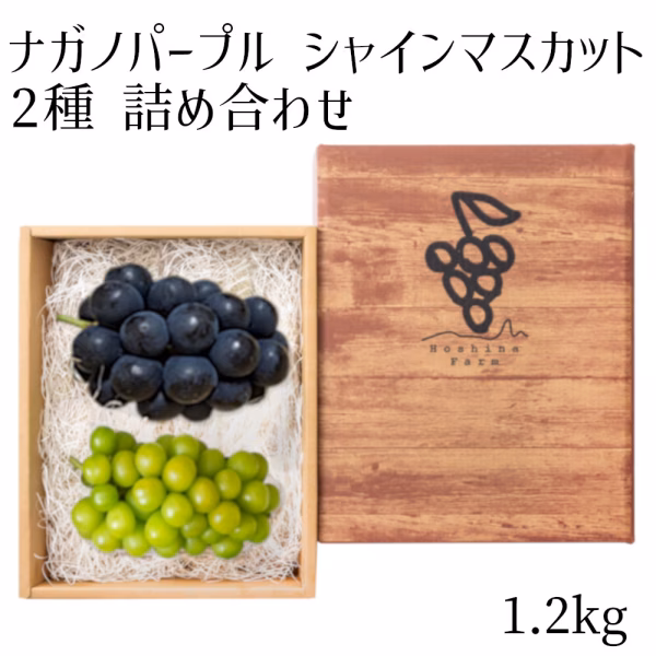 シャ・パ1.2kg 詰め合わせ （シャインマスカット・ナガノパープル）