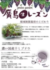 糖度20度以上の葡萄にしか作れない廣島 生レーズンゴルビー