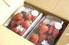 紅ほっぺとやよいひめのMIXパック（２パック）【千葉県船橋市の甘～いいちご！】