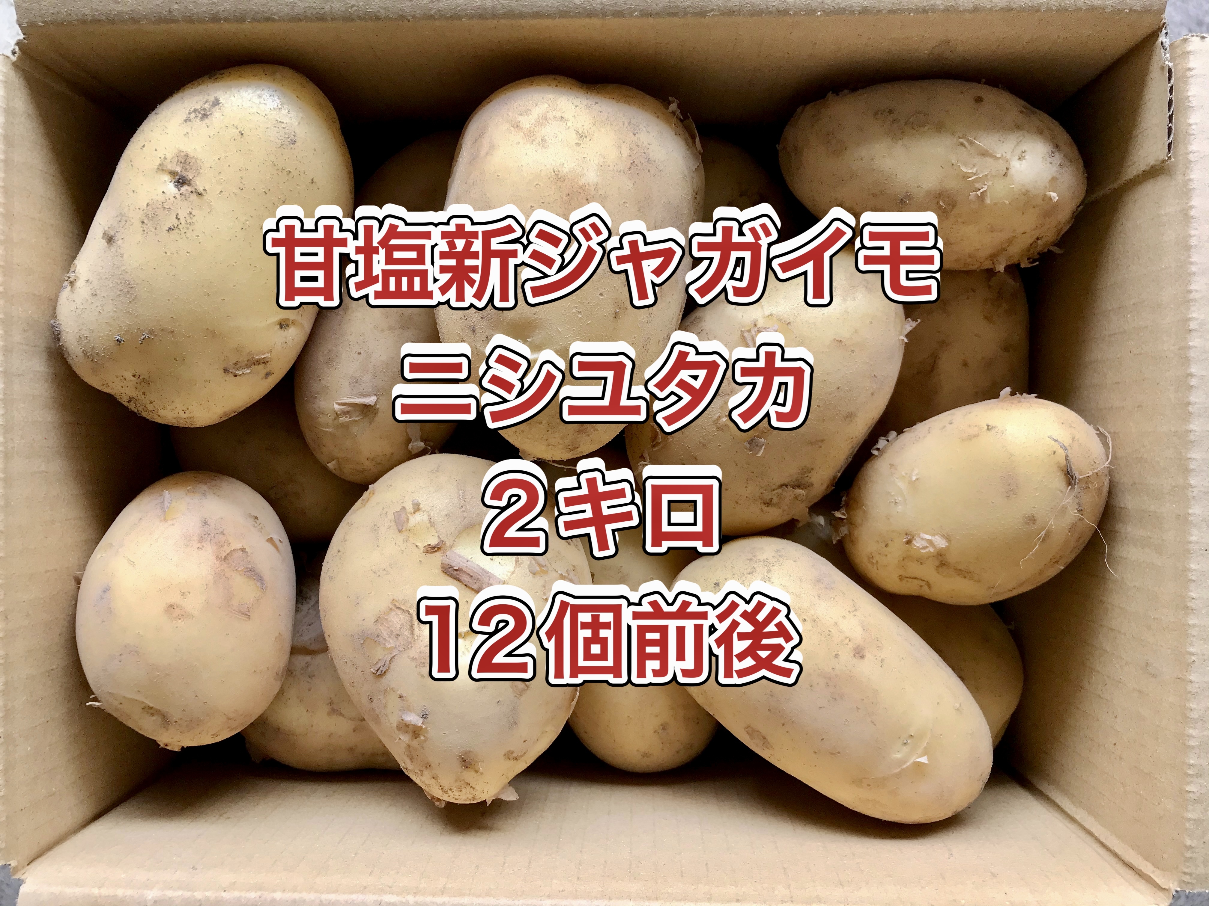 格安！徳之島産ニシユタカB品 - 野菜