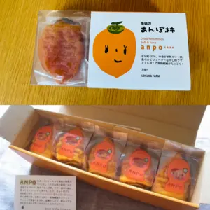 【季節限定】とろりと甘〜いあんぽ柿「ANPOちゃん」セット