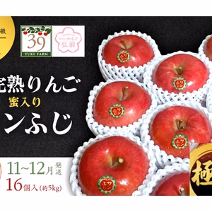 青森県産りんご 「先行予約 」「冬ギフト」極み雪完熟りんご５kg１６個入り