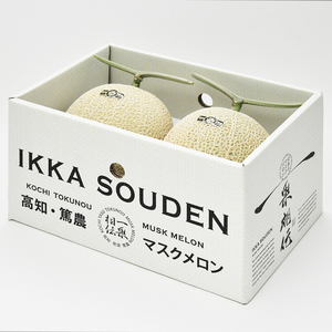 【夏ギフト】贈答用2玉箱入りマスクメロン7月から8月発送（3.2kg以上）