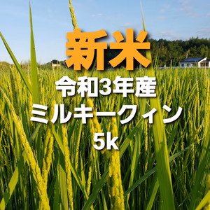 新米令和3年産新米ミルキークイーン5キロ精米
