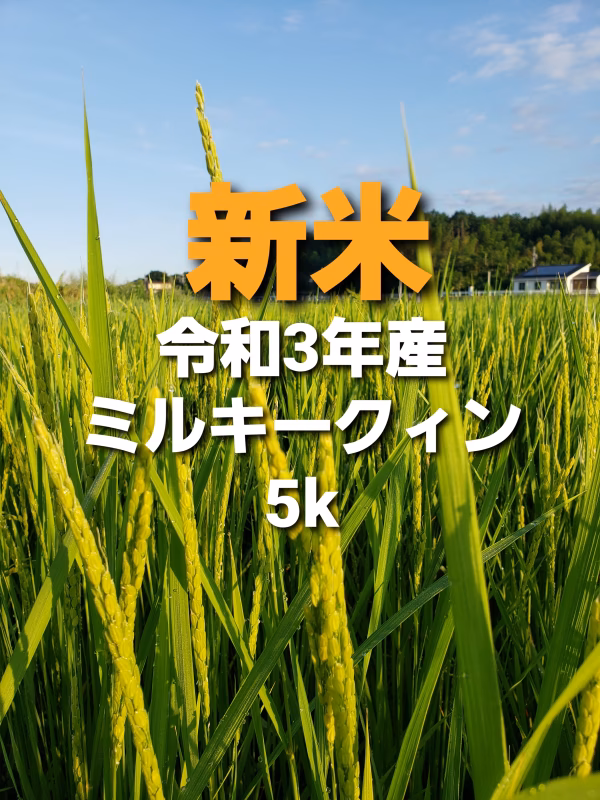 新米令和3年産新米ミルキークイーン5キロ精米