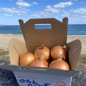 淡路島産特選とろっ甘玉ねぎ❗️3kg箱　オススメ品！