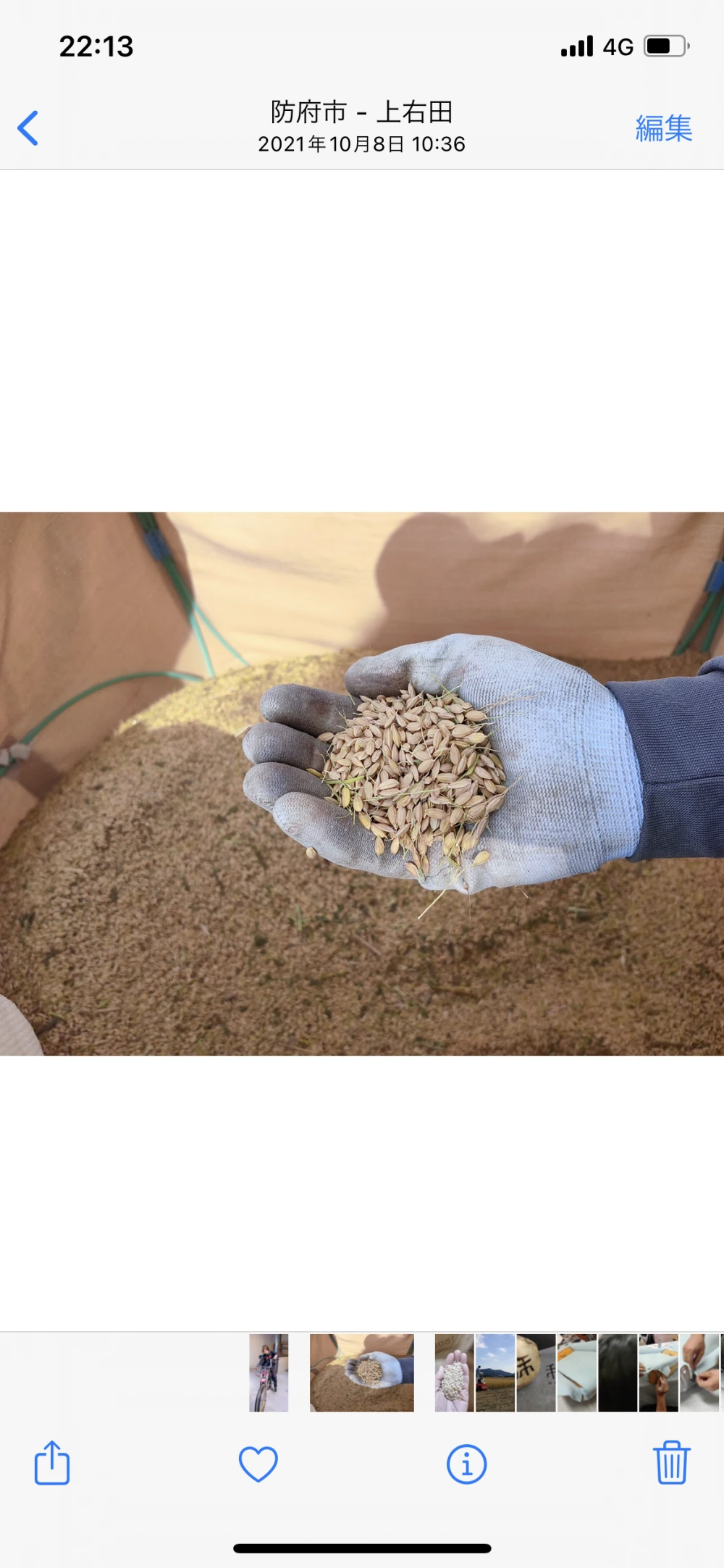 今や幻のお米！？自然栽培の農林22号（30kg）玄米　自然米