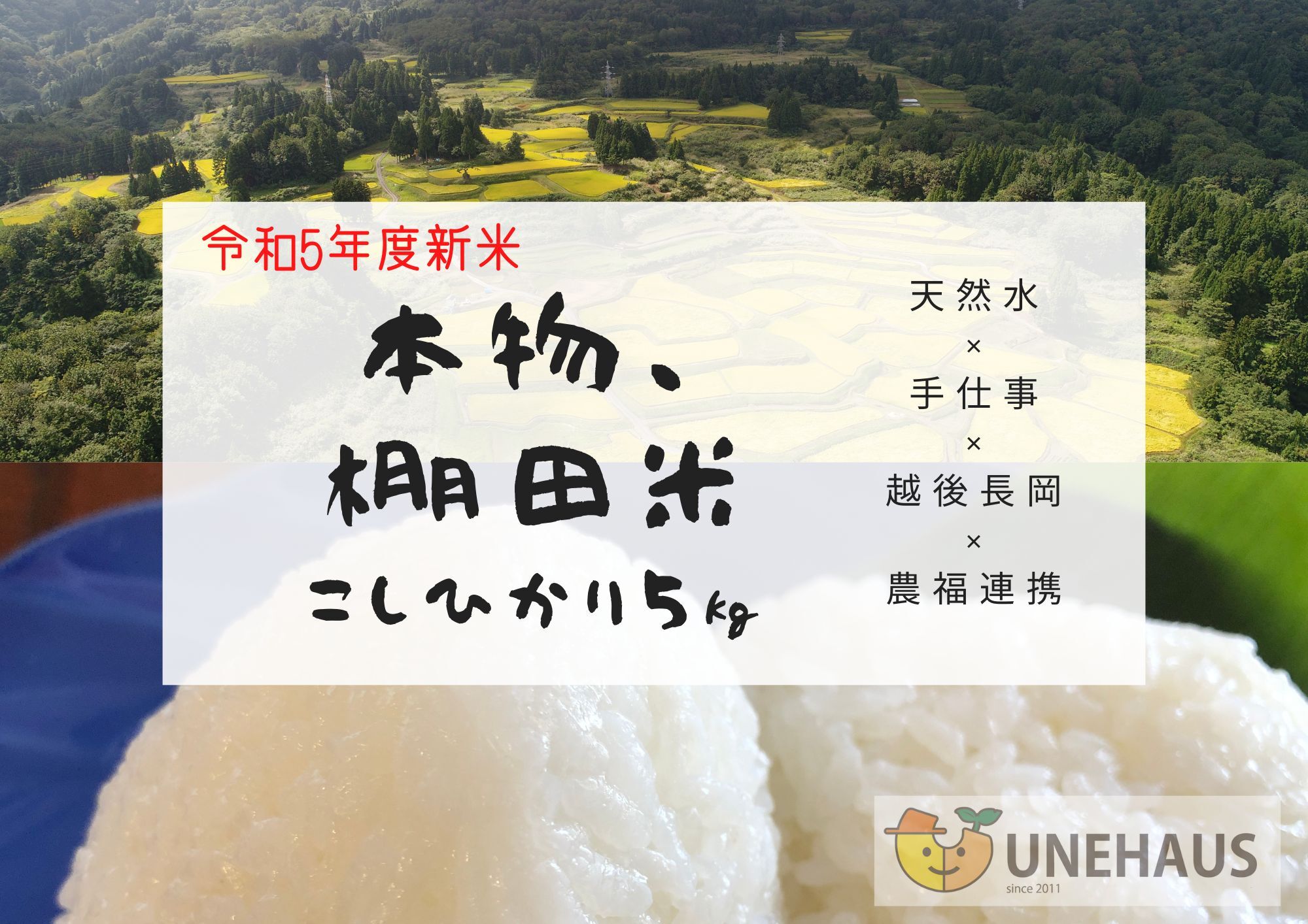 4有機肥料使用／自然農法／お米☆コシヒカリ／５キロ