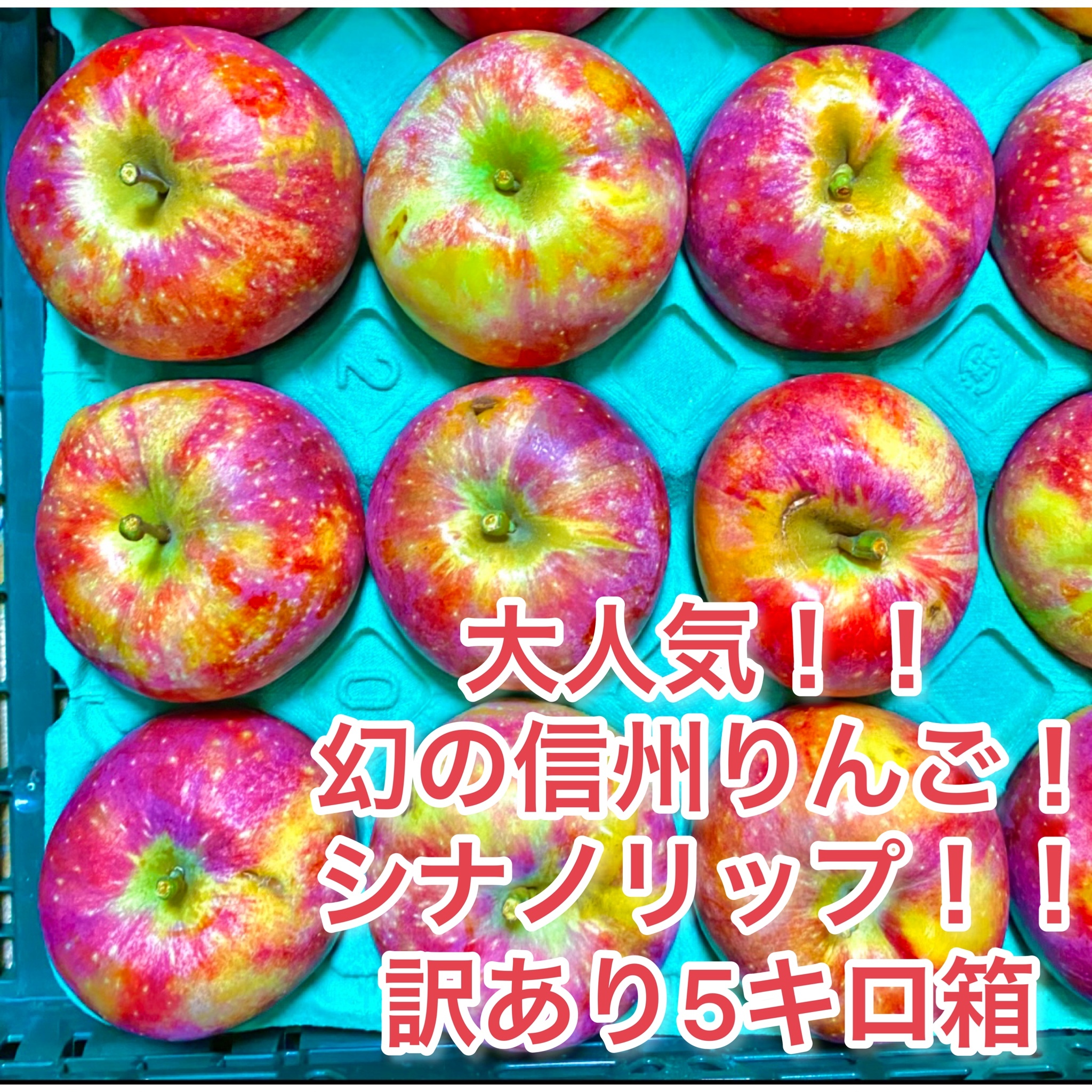 訳あり5キロ箱シナノリップ 人気爆発中 長野県限定品種 農家漁師から産地直送の通販 ポケットマルシェ