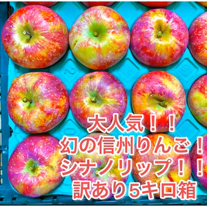 訳あり5キロ箱シナノリップ！！人気爆発中！！長野県限定品種！