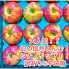 訳あり5キロ箱シナノリップ！！人気爆発中！！長野県限定品種！