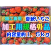 【加工専用】夏秋いちご規格外品　内容量約１．５キロ【数量限定】