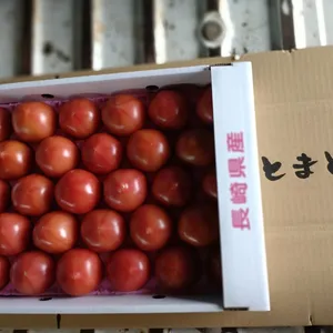 4ｋｇ　28玉   (Mサイズ　小さめ）  ツゲさんちのうまかトマト