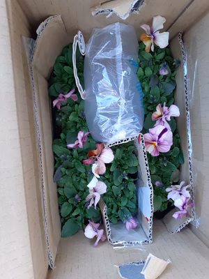 みんなの投稿の画像