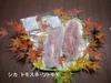 　シカ・トモスネ・スネ肉　