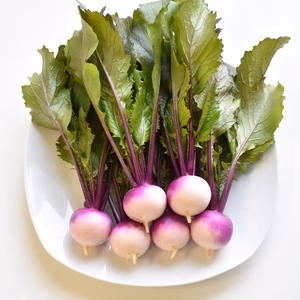 和らぎ農法　あやめ雪かぶ　大（3～8個）