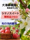 【先行予約】シナノスイート　贈答品　3kg　8~10玉