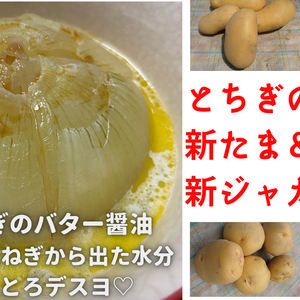 【お試し♡】新たまねぎと新じゃがいも〈３種類から１種類〉セット！新物