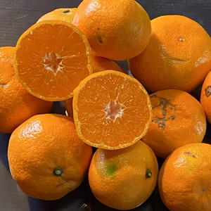 【愛媛県産】みかん屋太陽と海　輝みかん《訳あり》