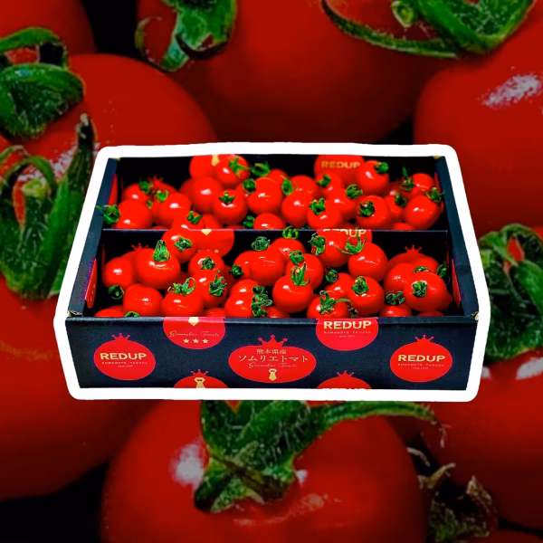 【特別栽培農産物】ソムリエミニトマト　プラチナとダイヤ各800gのセット