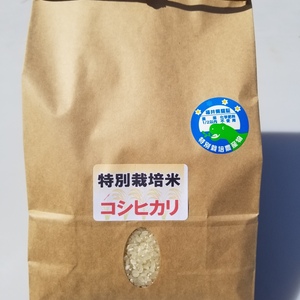 【自然農法】福井県産特別栽培コシヒカリ 5kg　農薬、化学肥料不使用