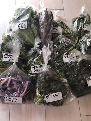 みんなの投稿の画像