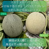 ジューシーで甘い、オルフェメロン！