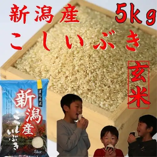 こしいぶき5kg(玄米)  　 令和二年産