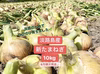 ⭐︎とってもジューシー⭐︎淡路島新たまねぎ 10kg【6月上旬発送】