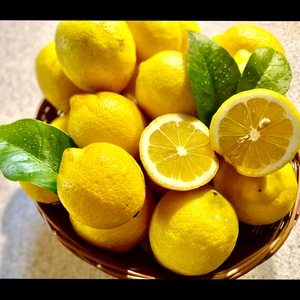 【訳あり】樹熟レモン 減農薬 使い道色々☆皮まで使えます☆