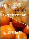 和歌山県産　富有柿（訳あり品）S Mサイズ
