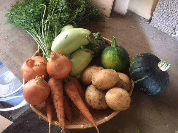 季節の野菜セット（5品目以上）