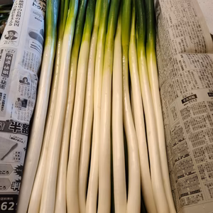 まるど農園のねぎ 2Lサイズ
