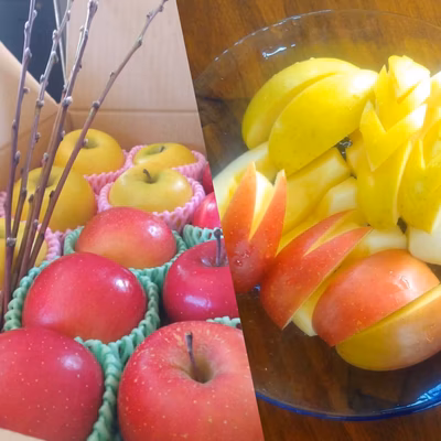 みんなの投稿の画像