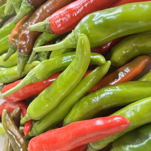 国産韓国唐辛子