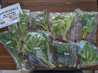 みんなの投稿の画像