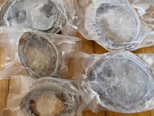 本日の１点物　アワビ　鮑　-60度急速冷凍　5枚で 1260g（傷物、訳あり品）
