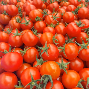 ☀️おひさま育ち☀️天然アミノ酸パワーで元気いっぱい‼️のミニトマト