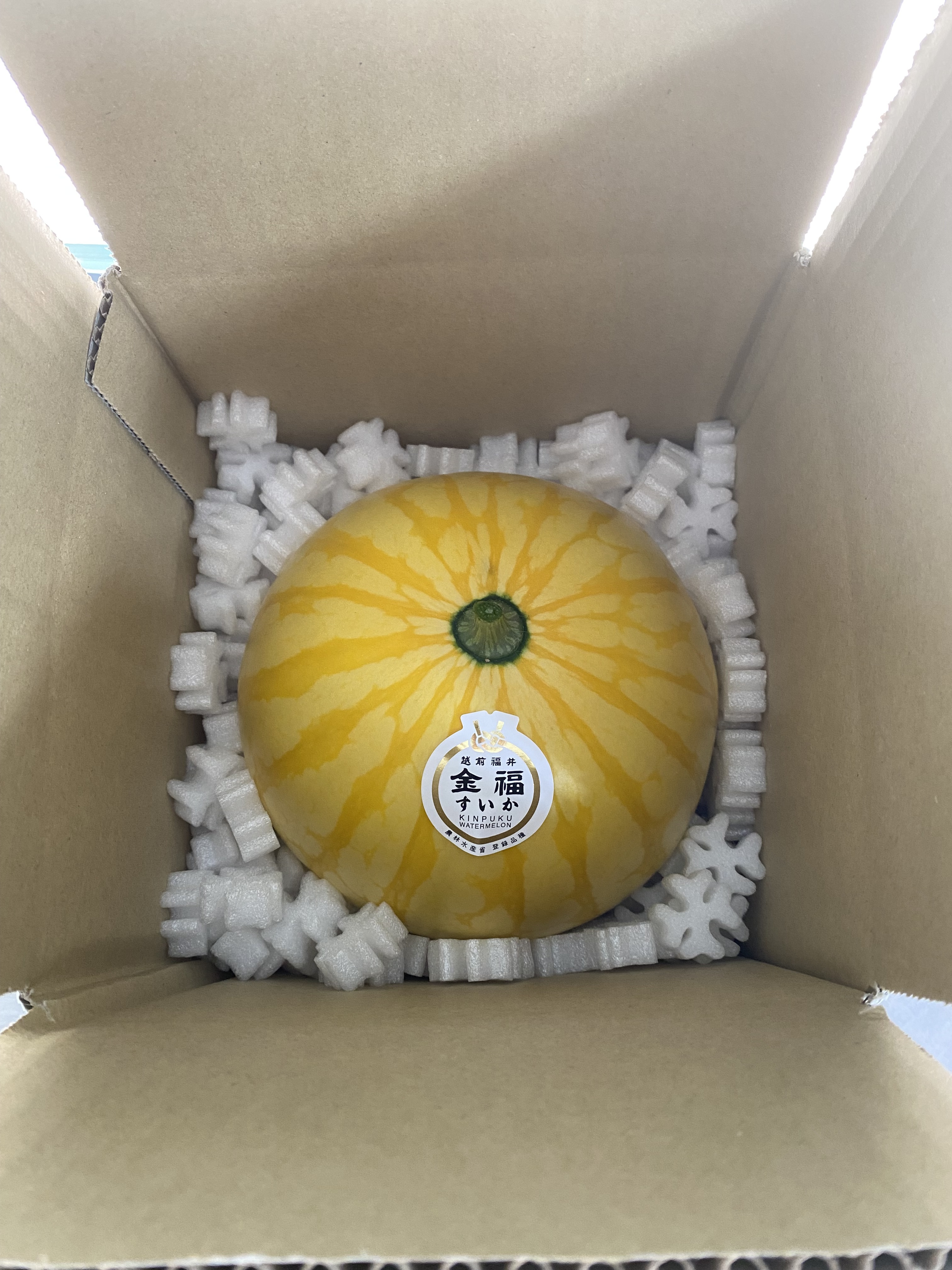 趣味の福@即購入歓迎専用 6/26締切]高糖度でシャリっと美味しい。金色に輝く福井市特産金福